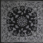 Bandana Paisley Pattern Vector